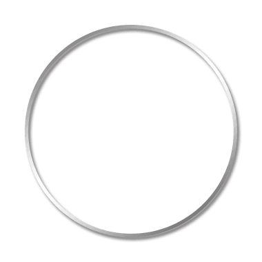 Jaguar.png